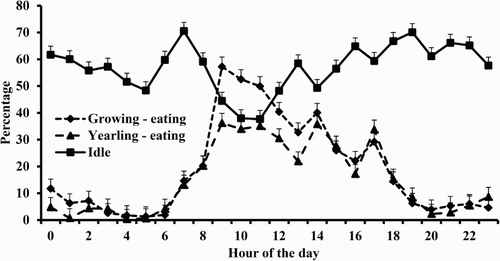 Figure 1. Effects of animal type on time spent eating throughout the day and the hourly pattern of time idle.