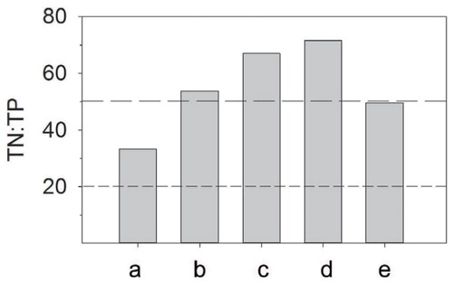 FIGURE 3. Molar ratio of total nitrogen (TN) to total phosphorus (TP) in lake water, with thresholds for nutrient deficiency (CitationGuildford and Hecky, 2000). Below the threshold ratio of 20 (short dashed line) phytoplankton is predicted to be deficient in N. Above a threshold ratio of 50 (long dashed line) phytoplankton is deficient in P. At intermediate molar ratios, either N or P can be deficient, or co-limitation may occur. Lakes are abbreviated: (a) Holly Lake, (b) Surprise Lake, (c) Amphitheater Lake, (d) Grizzly Lake, and (e) Whitebark Moraine Pond.