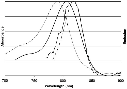 Figure 3 Normalized absorbance and emission spectra of free cyanine near-infrared fluorescent dye (dotted lines) and near-infrared fluorescent iron oxide-human serum albumin nanoparticles (solid lines).Notes: Maximum absorption of free cyanine near-infrared fluorescent dye and near-infrared fluorescent iron oxide-human serum albumin nanoparticles occur at approximately 790 nm and 810 nm, respectively. Maximum fluorescence emission intensity of cyanine near-infrared fluorescent dye and near-infrared fluorescent iron oxide-human serum albumin nanoparticles occurs at the same wavelength of approximately 818 nm.
