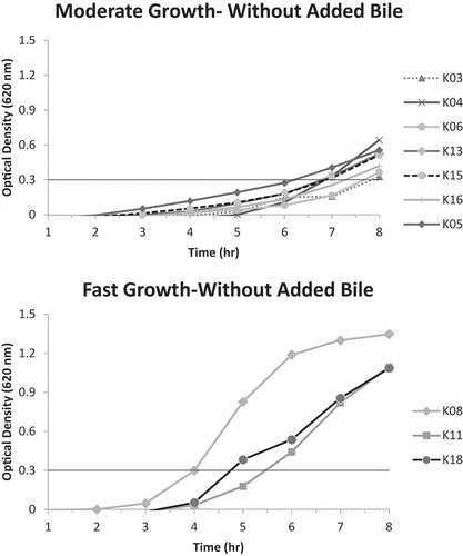 Figure 3. A. Moderate growth graph (optical density at 620 nm vs. time) of isolates K03, K04, K05, K06, K13, K15, and K16 without added bile; reaching A620nm = 0.3 unit within 6–8 hours .B. Fast growth graph (optical density at 620 nm vs. time) of isolates K08, K11, and K18 without added bile; reaching A620nm = 0.3 unit within 4–6 hours.