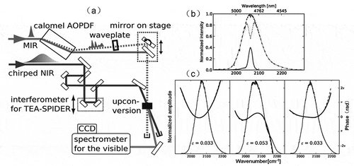 Figure 3. (a) Experimental setup of mid-infrared femtosecond pulse shaping with a calomel acousto-optic programmable dispersive filter. (b) Examples of amplitude shaping: spectra of the transmitted MIR pulse with acoustic wave on (dotted curve, Ion) and off (dashed curve, Ioff) and the corresponding relative difference (solid curve, (Ioff − Ion)/Ioff). (c) Examples of phase modulations induced by the acoustooptic programmable dispersive filter (AOPDF). From left to right: quadratic, cubic, and fourth-order applied (dashed lines) and measured (solid lines) phases. phase error ε is displayed for each phase function. the spectra of the diffracted pulses are shown in the background. (Ref.59) [Citation59]