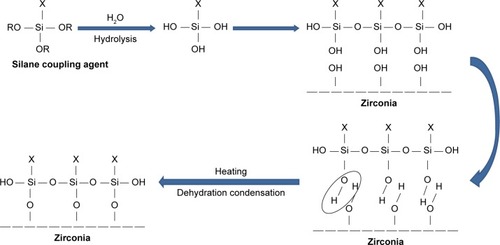 Figure 2 Schematic diagram of silanization of nano-ZrO2.Abbreviation: nano-ZrO2, zirconium oxide nanoparticles.