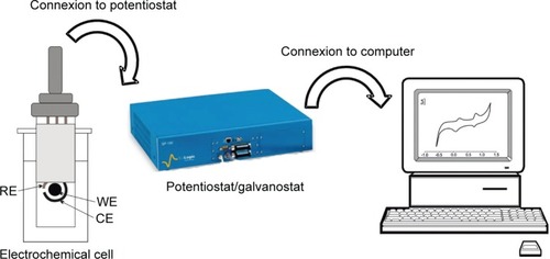 Figure 2 Experimental setup of the electrochemical measurements: electrochemical cell, potentiostat/galvanostat and personal computer.Abbreviations: RE, reference electrode; WE, working electrode; CE, counter electrode.