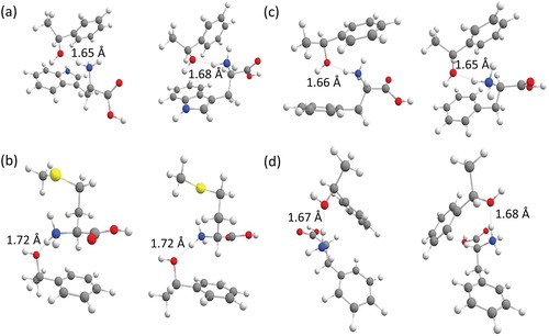 Figure 2. The most stable structures calculated with B3LYP-D3/6-311++G** for the homo-chiral (left) and hetero-chiral (right) proton bound adduct of (a) Trp and (S)-1-phenylethanol; (b) Met and (S)-1-phenylethanol; (c, d) Phe and (S)-1-phenylethanol.