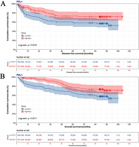 Figure 3 Kaplan–Meier curves for disease free survival (DFS) and overall survival (OS) by PDL1 protein expression in tumor cells. (A) Kaplan–Meier curves for DFS, (B) Kaplan–Meier curves for OS.