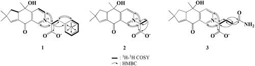 Figure 2. 1H-1H COSY and HMBC correlations of compounds 1-3.