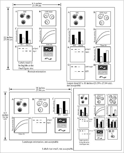 Figure 1. Present the figure in the portrait, not the landscape orientation. Figures must be presented in the portrait orientation with each individual figure on a single page and all of the labels easily legible.