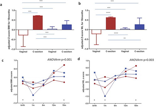 Figure 5. Maternal gut microbial clusters and mode of birth impact the infant risk of overweight and obesity. BMI z-scores(a) and WL (b) z-scores at 18 months of age adjusted by covariates according to mode of birth and maternal microbial cluster (Cluster I = red and Cluster II = blue color). The middle line represents the media of all values; a general linear model multivariate ANOVA test adjusted by factors and covariates was done and p < .05 was considered significant. **p < .05; ***p < .001; p < .0001. Infant BMI z-score (c) and WL Z-score (d) trajectories from birth to 18 months were stratified by maternal microbial cluster and birth mode. The GLM for repeated measures adjusted for maternal cluster, pregestational BMI, mode of delivery and breastfeeding up to 6 months was done and p < .05 was considered statistically significant. Points at each time represent the media and lines mark the time series. Cluster I = red and Cluster II = blue; a continuous line = vaginal birth and a dotted line = C-section plus antibiotic. * represents a significant difference in each time point between groups.