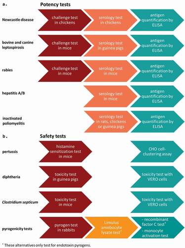 Figure 1. For several established inactivated and toxoid vaccines for human and veterinary use there has already been a transition from invivo to invitro batch testing in Europe [Citation5]. Advancements have been made for both potency (a.) as well as safety tests (b.). Conventional invivo tests are shown in red. Alternative invivo tests with reduced and refined use (i.e. less animals and less discomfort) of animals are shown in orange. Alternative invitro tests are shown in green