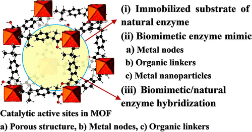 Figure 9 Applications of Fe-MOFs nanomaterials in the Field of Biocatalysis.