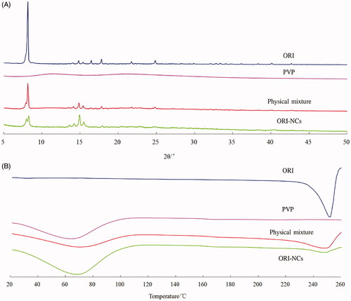 Figure 4. (A) XRD profiles and (B) DSC pattern of ORI, PVP, physical mixture of ORI and PVP, ORI-NCs.