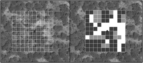 Figure 1. Example of a sample site. Left – the sample site (approximate size 1 ha) comprising of 100 equally sized square elements (approximate size of an element 10 m by 10 m). Right – interpreted sample site with three different land cover classes assigned to every block (white, grey, and black indicate different dominating land cover classes at element level). Source: Tsendbazar et al. (Citation2018).