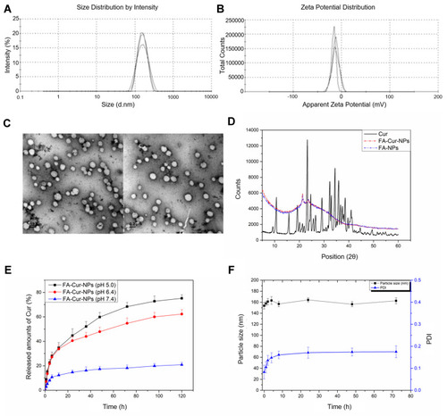 Figure 2 Characterization of nanoparticles. (A) Particle size and (B) zeta potential of FA-Cur-NPs, (C) TEM image of FA-Cur-NPs (left) and Cur-NPs (right), (D) X-ray diffraction curve of curcumin (Cur), FA-NPs, and FA-Cur-NPs, (E) In vitro release profiles of curcumin from FA-Cur-NPs at different pH values, (F) In vitro stability of FA-Cur-NPs in DMEM supplemented with 10% FBS at 37°C for 72h (n=3).