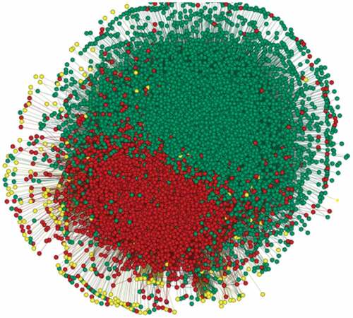 Figure 5. All-communication network for users shows the prevalence of positive stance users (green agents) over negative stance users (red agents).