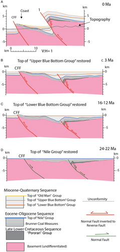 Figure 6. A, Coastal part of the geological section in Figure 2B, across the Cape Foulwind (CFF) and Lower Buller (1) faults. No vertical exaggeration. B, C and D, three restoration stages for the section, involving progressive removal of fault separation and folding by trishear mechanisms (Erslev Citation1991), followed by decompaction. Restoration performed with Move software (Midland Valley). Note that compressional inversion of SE-dipping normal faults started in the Miocene and continues to present day.