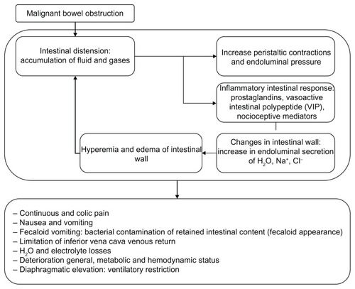 Figure 1 Physiopathology of MBO.