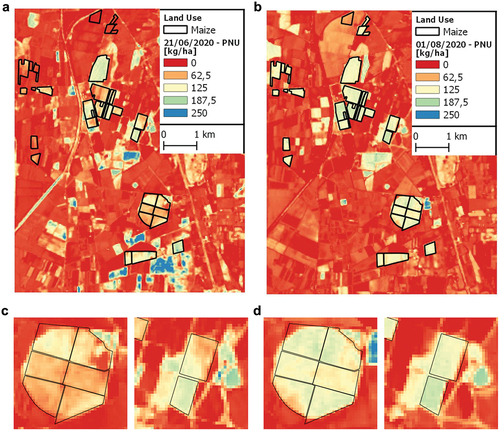Figure 5. PNU maps and zoom on fields with different intra-fields sowing dates (c–d) on (a) 21 June 2020 and (b) 1 August 2020.