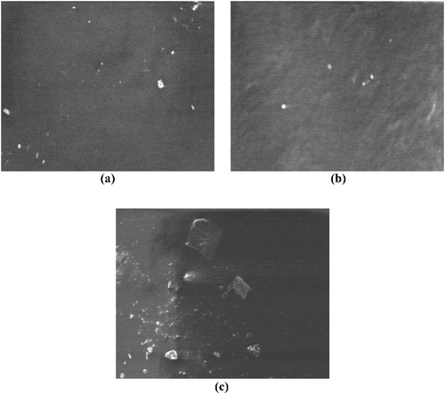 Figure 9. The microphotograph of surface morphology of (a) DPNR/TiO2, (b) DPNR/N-TiO2 and (c) DPNR/V-TiO2.