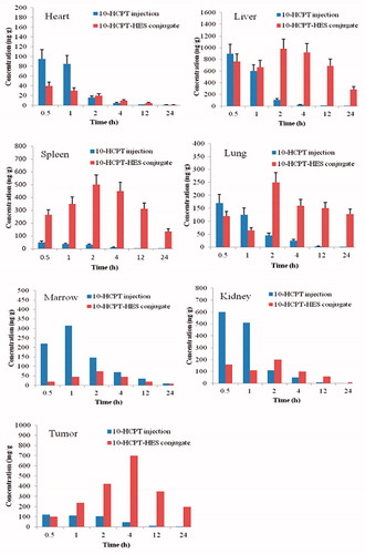 Figure 2. Tissue distribution profiles of 10-HCPT after intravenous 10-HCPT injection and 10-HCPT-HES conjugate administration of 1.5 mg/kg.
