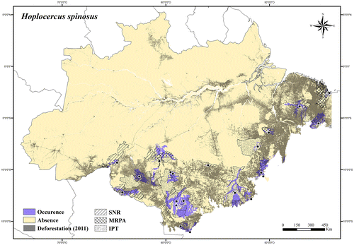 Figure 69. Occurrence area and records of Hoplocercus spinosus in the Brazilian Amazonia, showing the overlap with protected and deforested areas.