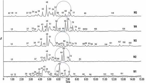 Figure 2. Total ion chromatogram (TIC) by negative ion mode electrospray ionizations mass spectrometry (ESI/MS) from the ethanol extracts of white calyces (W1, W2, W3 and W4) and red calyces (NQ) Hbiscus sabdariffa L. varieties.
