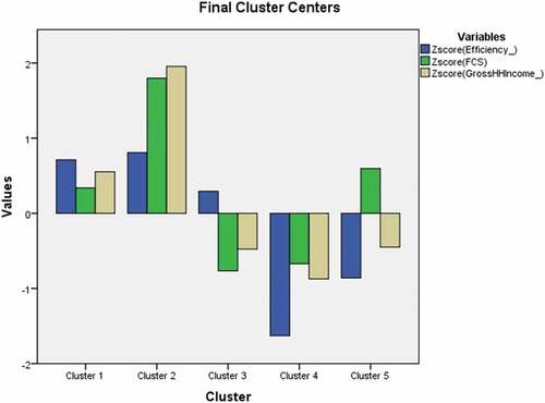 Figure 1. Final cluster centres for efficiency, food consumption score and income