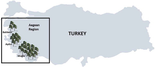 Figure 1. Pine tree distribution and pine honey production areas of Turkey.