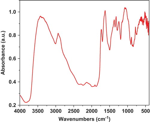 Figure 1. FTIR spectra of mucilage extracted from O. spinulifera.Figura1. Espectros FTIR de mucilago extraído de O. spinulifera.