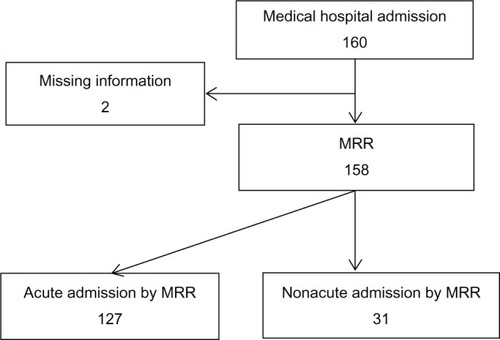 Figure 1 Flowchart of the medical record review (MMR) process.