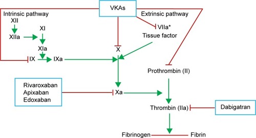 Figure 1 Mechanism of anticoagulants effect of indirect (VKAs) and direct anti-IIa and anti-Xa anticoagulants (NOACs).