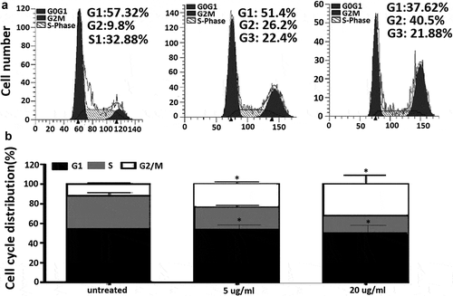 Figure 2. EGCG induces cell cycle arrest at G2/M phase in MCF-7 cells.