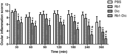 Figure 6. Anti-inflammatory efficacy of diclofenac-loaded ginsenoside Rb1 (Rb1-Dic) micelles. Anti-inflammatory efficacy of an ophthalmologic preparation of diclofenac-loaded ginsenoside Rb1 (Rb1-Dic) micelles, commercial diclofenac eye drops, and Rb1 solution after sodium arachidonate solution (SAS)-induced inflammation in rabbit eyes (Mean ± SD, n = 6, *p < .05 compared to the PBS control group, #p < .05 compared to the commercial diclofenac eye drop group).