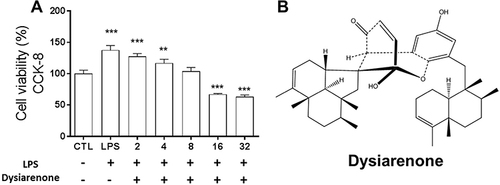 Figure 1 Cytotoxic effects of dysiarenone from Dysidea arenaria on RAW 264.7 cells (A) and structure of dysiarenone (B). After 24 h treatment with dysiarenone at concentrations ranging from 2 μM to 32 μM in the presence of LPS (1 μg/mL), cell viability was measured by the CKK-8 assay. Data are expressed as a percentage of control group (CTL) from three independent experiments and expressed as mean ± SD (**p < 0.01, ***p < 0.001; one-way ANOVA followed by Tukey post hoc multiple comparison tests).