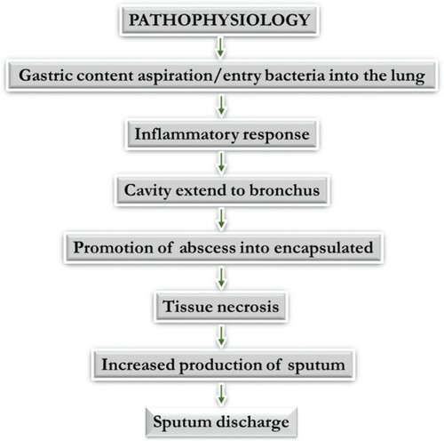 Figure 2. Pathophysiology of pneumonia adopted from flash share at https://www.slideshare.net/hasnahnoi/pneumonia-38313892.