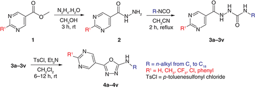 Figure 2. Synthesis of hydrazine-1-carboxamides 3 and oxadiazoles 4.