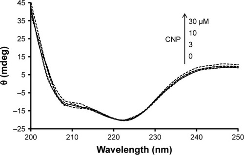 Figure 8 Far UV-CD spectra (200–250 nm) of HHb (3 µM) were measured in the absence and presence of different CNP concentrations of 3, 10, and 30 µM in phosphate buffer at pH 7.4 and 10 mM at temperature 25°C.