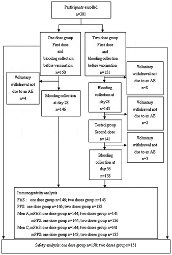 Figure 1. Flow chart for the recruitment of volunteers in the study. Titers for antibody to MenA≥1:8 pre-vaccination were two participants in the one and two doses group, respectively. Titers for antibody to MenC ≥1:8 pre-vaccination were three participants in the one and two doses group, respectively. They were removed from the analysis set (mPPS) for immunogenicity
