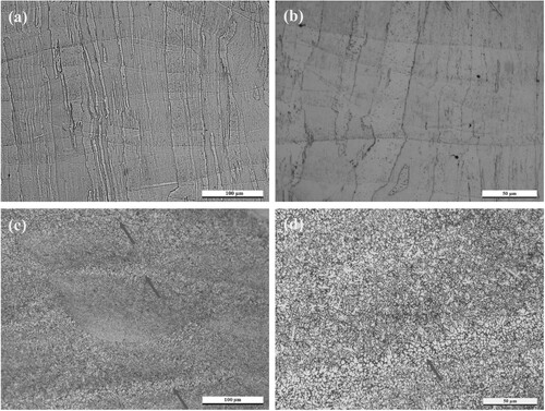 Figure 2. OM micrographs showing grain structures in the SLM-processed (a and b) HEA and (c and d) HEA-Cr3C2 samples. The arrows in (c) and (d) refer to interlayer boundary regions where relatively larger equiaxed grains dominate, in contrast to the finer grains present within the interior of solidified melt pools.