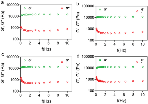 Figure 7. Rheological evaluation of 30% poloxamer hydrogels as a function of frequency (0.1–10 Hz). a) Control hydrogel (P407), b) hydrogel containing PDS (P407-PDS), c) hydrogel containing PLGA-NPs (P407-CTL@NPs), d) hydrogel containing PDS-loaded PLGA-NPs (P407-PDS@NPs).