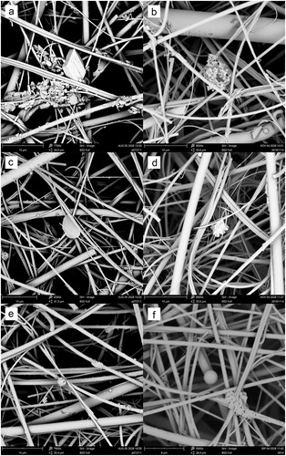 Figure 1. SEM photomicrograph of (a) rectangular, (b) flocculent, (c) flat, (d) irregularly (e) spheroidal, and (f) sphere-shaped particles collected from four restaurants.