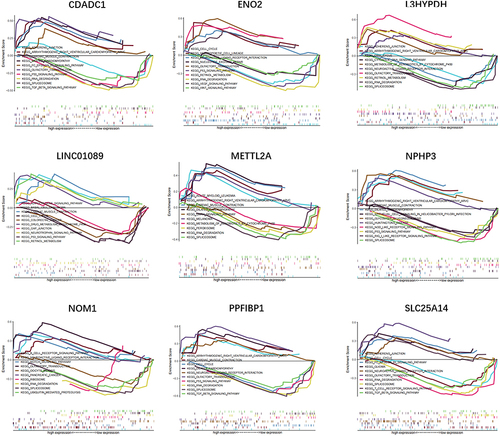 Figure 8 Analysis of the model genes in OA.