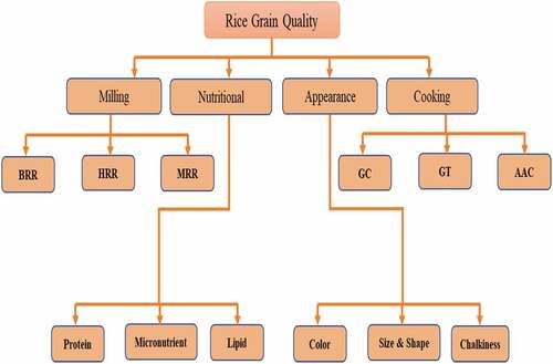 Figure 1. Details classification of RGQ.