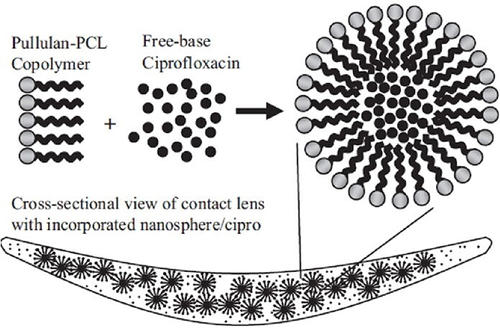 Figure 1 Micellar nanosphere encapsulated ciprofloxacin incorporated into contact lens