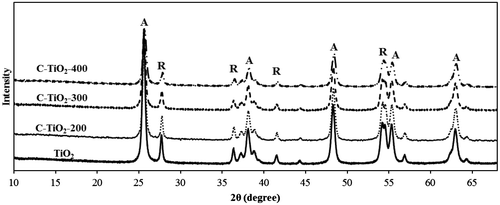 Fig. 4. XRD patterns of the prepared adsorbents and TiO2 precursor.