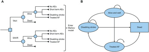 Figure 1. The cost-effectiveness model had two stages: (A) early AEs from the PARTNER 3 trial were captured in a decision tree, which fed into (B) a Markov model that captured longer-term outcomes of patients, with four distinct health states (reproduced from gilard M, et al. Value health 2021; https://doi.org/10.1016/j.jval.2021.10.003 under the terms of the creative commons licence (creative commons attribution license (CC by)). Clinical events were taken from the PARTNER 3 trial and from Belgian-specific literature sources when available and relevant. Costs were based on costing information from the Belgian APR-DRGs, regional tariffs and literature sources when relevant, and actualised to 2022 (Table 1 and Supplementary Materials). As there is no formal WTP threshold in Belgium, we adopted a cost-effectiveness ratio threshold of €30 000 per QALY gained. AE: adverse event; AF: atrial fibrillation; APR-DRG: All Patients Refined-Diagnosis Related Group; QALY: quality adjusted life years; SAVR: surgical aortic valve replacement; TAVI: transcatheter aortic valve implantation; WTP: willingness-to-pay.