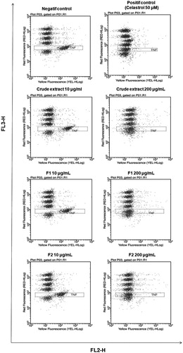 Figure 3. Analysis of TNF-α secretion 6 h after LPS-stimulation of THP-1 cells is given here representative examples of red fluorescence/yellow fluorescence dot plots of negative control, positif control (Celastrol 50 μM), crude extract and polar fractions (F1 and F2) at 10 and 200 μg/mL.