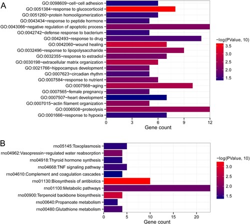 Figure 6. Functional analyses of the DEGs in the interaction networks. (a) BP of these overlapped DEGs. (b) KEGG pathways enrichment of the overlapped DEGs.