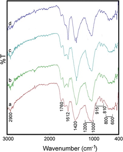 Figure 2. The FT-IR spectra of different values of L. draba root extract in the presence of Ag solution for Ag NPs making: (a) 2.0 mL, (b) 2.5 mL, (c) 3.0 mL and (d) 4.0 mL.