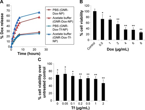 Figure 2 Dox release kinetics and optimization of Dox and Tf concentrations.Notes: (A) In vitro release kinetics of Dox from GNR-Dox-NP and GNR-Dox-Tf-NP in PBS (pH 7.4) and acetate buffer (pH 5.5). (B) Optimization of Dox concentration and (C) Tf concentration in GNR-Dox-NP- and GNR-Dox-Tf-NP-treated A549 cell viability assay at 24 h. *P<0.05; **P<0.0001.Abbreviations: GNR-Dox-NP, gold nanorod-doxorubicin-nanoparticle; GNR-Dox-Tf-NP, gold nanorod-doxorubicin-transferrin-nanoparticle; PBS, phosphate-buffered saline.