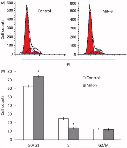 Figure 3. MiR-9 induces OSCC cell cycle arrest. Tca8113 cells were transiently transfected with miR-9 mimics and miRNA control. After 72 h post-transfection, DNA content was measured by flow cytometry to determine cell cycle fractions. Representative flow cytometric histograms of cells transfected with miR-9 mimics and miRNA control from three independent experiments are shown in panel A. The fraction of cells in each cell cycle phase is indicated in panel B. PI: propidium iodide; *p < .05.